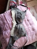 浪莎（langsha）文胸+内裤无钢圈蕾丝文胸内衣女性感小胸聚拢胸罩套装520送女友 MWY可可-灰紫套装 M 70/32AB 实拍图