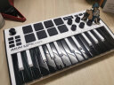 DzMaster雅佳MPK MINI键盘控制器25键便携式MIDI键盘入门音乐电音编曲制作 25键 MPK MINI3 白色限量版 实拍图