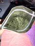 煜树小叶苦丁茶毛冬青茶嫩芽云南毛冬青毛冬青新货 小叶苦丁100g 实拍图