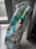 帮宝适（Pampers）拉拉裤干爽透气尿不湿宝宝成长裤男女通用学步裤裤型尿不湿 清新帮大码L42片【9-14kg】 实拍图