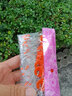 奥哥（aoge） 7+1硅胶100组橡胶橄榄形圆柱形套装太空豆渔具垂钓用品鱼线配件 透明硅胶圆柱型100组（800粒）色 中号(适合1.5-3.0号线) 实拍图