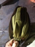 男士休闲包单肩包男韩版帆布包商务潮流斜跨背包 大小号大容量多层次 小号宽23高20cm卡其色 实拍图