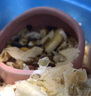 诺辰小宠仓鼠陶瓷小食盆 瓷窝 防翻食盆鼠金丝熊食盆 仓鼠用品 防翻食盆粉色 实拍图
