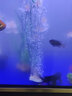 YEE鱼缸氧气泵增氧泵超轻音可调节气量充氧泵水族箱小型鱼缸增氧机 单孔4w+气盘套餐 实拍图