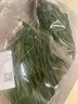 鑫正元 鲜松针 松针超细粉 长白山  马尾松针茶新鲜红松针五针全松茶 鲜松针500g+送250g 实拍图