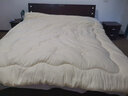 富丽真金（FULLRICH）A类抑菌大豆被空调被夏凉被子春秋被子母被四季通用被芯 A类抗菌-25%大豆被【冬被】 2.2x2.4米 实拍图
