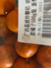 广西荔浦沙糖桔 砂糖橘 甜橘子500g装 新鲜水果 实拍图