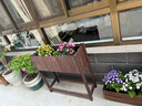 森利乐户外长方形防腐木花箱阳台实木种植木花槽庭院栅栏花盆木质种菜盆 碳化色 长66宽30高86厘米 实拍图