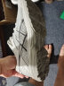亚瑟士ASICS男鞋网面跑步鞋缓震跑鞋透气舒适运动鞋 GEL-FLUX 4 【YH】 灰色/黑色 40.5 实拍图