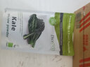 BIOTONA有机冻干羽衣甘蓝粉果蔬粉膳食纤维代餐无糖控体青汁润肠排便冲饮 （润肠排便）冻干羽衣甘蓝粉120g 实拍图
