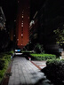千象（QIANXIANG） 千象led路灯头小区挑臂路灯户外道路灯庭院街道农村亮化工程灯 30W-LUMILEDS光源-接220V 实拍图