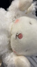 海湾兔可爱小羊公仔披风服饰动物毛绒玩偶安抚抱睡布娃娃开学女生日礼物 824208老虎披风 含羊 17cm【可代写贺卡】 实拍图