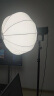 神牛SL150w三代直播补光灯摄影打光灯影棚直播设备球形柔光灯罩拍照美颜专业录像视频拍摄灯 【2】SL150W单灯深口栅格套装（轮廓立体） 官方标配 实拍图