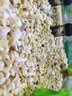 森森（SUNSUN） 玻璃砂鱼缸装饰造景蓝色玻璃珠水族箱饰品底沙鱼缸造景石底砂 黄色雨花石1000g 实拍图