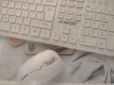 Niye【2024新款】有线键盘鼠标套装商务办公无声键鼠套装静音打字手感好按键台式电脑笔记本轻薄便携式 有线键盘+鼠标【白色】 实拍图