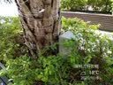 室外电箱防水户外防雨回路防水配电箱开关盒小型空开盒工厂用监控箱室外家用照明控制配电箱电表箱盒水泵工程 20*30*15厘米防雨竖箱浅灰无字 实拍图