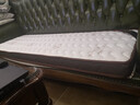 香榭柏兰 椰棕床垫棕垫硬棕榈床垫子 天然乳胶榻榻米床垫定做定制 10CM厚（防螨混纺面料+7CM椰棕） 0.8米*1.9米 实拍图