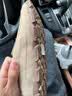 CAT卡特夏季男士舒适帆布透气船鞋公务一脚蹬豆豆鞋男款乐福鞋 杏黄 42 实拍图