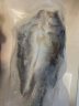 钓鱼记海鲈鱼500g-650g 三去净重 冷冻 家庭聚餐 年货送礼 生鲜 鱼类  晒单实拍图