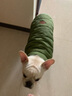 DADAGOU法国斗牛犬衣服宠物棉衣巴哥沙皮胖狗狗秋冬装棉背心加绒加厚棉衣 实拍图
