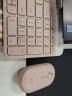 罗技（Logitech）K580键盘无线蓝牙超薄静音键盘 办公键盘电脑手机Mac平板ipad键盘 键鼠套装-茱萸粉【K580+Pebble】 实拍图