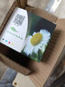 星朋适用佳能845墨盒墨水ts308腾彩PixmaMG2400 3080 2880S 2580s加墨连供 彩色墨盒846 实拍图