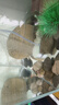 sobo鱼缸氧气泵养鱼增氧机充氧泵家用小型制氧机氧气机鱼用充氧器低音 【升级更静 气量可调】双孔8W+纳米气盘套餐 实拍图