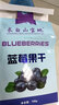 長白山天池蓝莓干 东北长春特产蓝莓果干低温烘焙 不加糖无添加剂独立小包装 盒装100g 实拍图