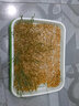 寿禾 猫草种子小麦草麦子套餐套装水培大麦黑麦草夏秋家庭种植草籽 浅盘+半斤种子+喷壶+纸 实拍图