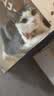 喔喔（WOWO）猫粮 猫主食冻干三鲜全价猫粮无谷猫粮成猫粮幼猫粮通用冻干猫粮 经典鳕鱼虾味 3KG 实拍图