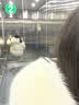 回力女鞋帆布半拖鞋外穿一脚蹬懒人休闲鞋855 黑色 39 实拍图