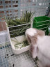 比克熊兔子草架食盆二合一兔笼可固定防翻米色外置饭盆碗龙猫天竺鼠用品 实拍图