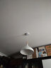 艺标北欧餐厅LED灯具饭厅餐桌灯客厅办公室书房简约现代饭店日式吊灯 D款30cm白色(配18瓦LED暖光) 实拍图