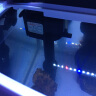 SICCE SICCE 鱼缸三合一潜水过滤泵带增氧水族箱鱼缸抽水泵过滤设备 AP338功率7.5W 晒单实拍图