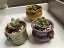 仟尚亿多肉花盆陶瓷个性简约室内植物创意粗陶花盆栽花盆透气大口径组合 XS彩绘花朵组合5个 中等 实拍图