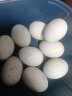 我老家 正宗皮蛋松花蛋鸭蛋 无铅工艺变蛋 10枚 500g 松花蛋 晒单实拍图