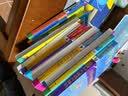 好小子童年故事 罗尔德达尔作品典藏 7-10岁 小学一年级二年级课外阅读 儿童文学 儿童礼物  阅读书单 一升二衔接 小升初衔接 实拍图
