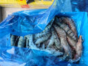京东生鲜 海外直采 泰国活冻黑虎虾（巨型限量款）1.8kg 28-36只/盒 晒单实拍图