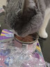 小李子德国猫罐头莱昂纳多无谷猫主食罐头猫零食猫罐头猫咪湿粮 经典家禽200g 实拍图