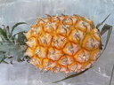 粤品正宗广东徐闻菠萝新鲜水果应当季金香水菠萝整箱非手撕金钻凤梨 徐闻菠萝9斤大果 实拍图
