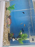 森森（SUNSUN）鱼缸水族箱客厅家用生态桌面金鱼缸免换水懒人鱼缸一体缸自循环 48cm长+倚桥远眺景（内置棉和滤材） 实拍图