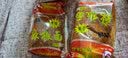 【贵定馆】陈文林贵州柴火手搓糊辣椒面 泼干辣椒粉海椒辣子面火锅蘸料厨房调味料 加辣500g 实拍图
