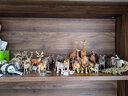 思乐（Schleich S）仿真动物模型 老虎狮子狼豹白虎猞猁男女孩儿童玩具生日礼物3+ 母狮子14825 实拍图