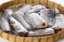 鲜京采 源头直发精选舟山特大带鱼2.3kg 350-500g/条 海鲜水产 生鲜鱼类 实拍图