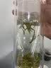 香不理绿茶茶叶西湖区产龙井绿茶2026新茶正宗杭州明前嫩芽龙井罐装300g 实拍图