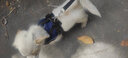 SLPC狗狗胸背带牵引绳小型犬泰迪背心式遛狗绳反光透气小狗背带狗绳子 藏青 S（适合3-6斤） 实拍图