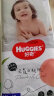 好奇（Huggies）铂金装拉拉裤 大号 L120片 晒单实拍图