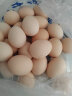 惠寻京东自有品牌 谷物土鸡蛋16枚装560g产地直发N  实拍图