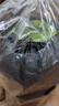 康尔（KingCamp）折叠床午休床褥子可机洗单人软床垫可折叠被褥铺底带收纳袋#卡其 实拍图