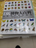 【现货速发】DK博物大百科儿童科普百科全书 自然界的视觉盛宴 英国DK公司 典藏精装版 儿童读物 实拍图